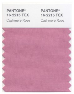 Cashmere-Rose
